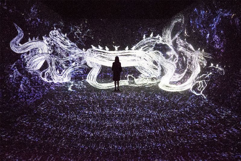 The Rise of “Immersive” Art